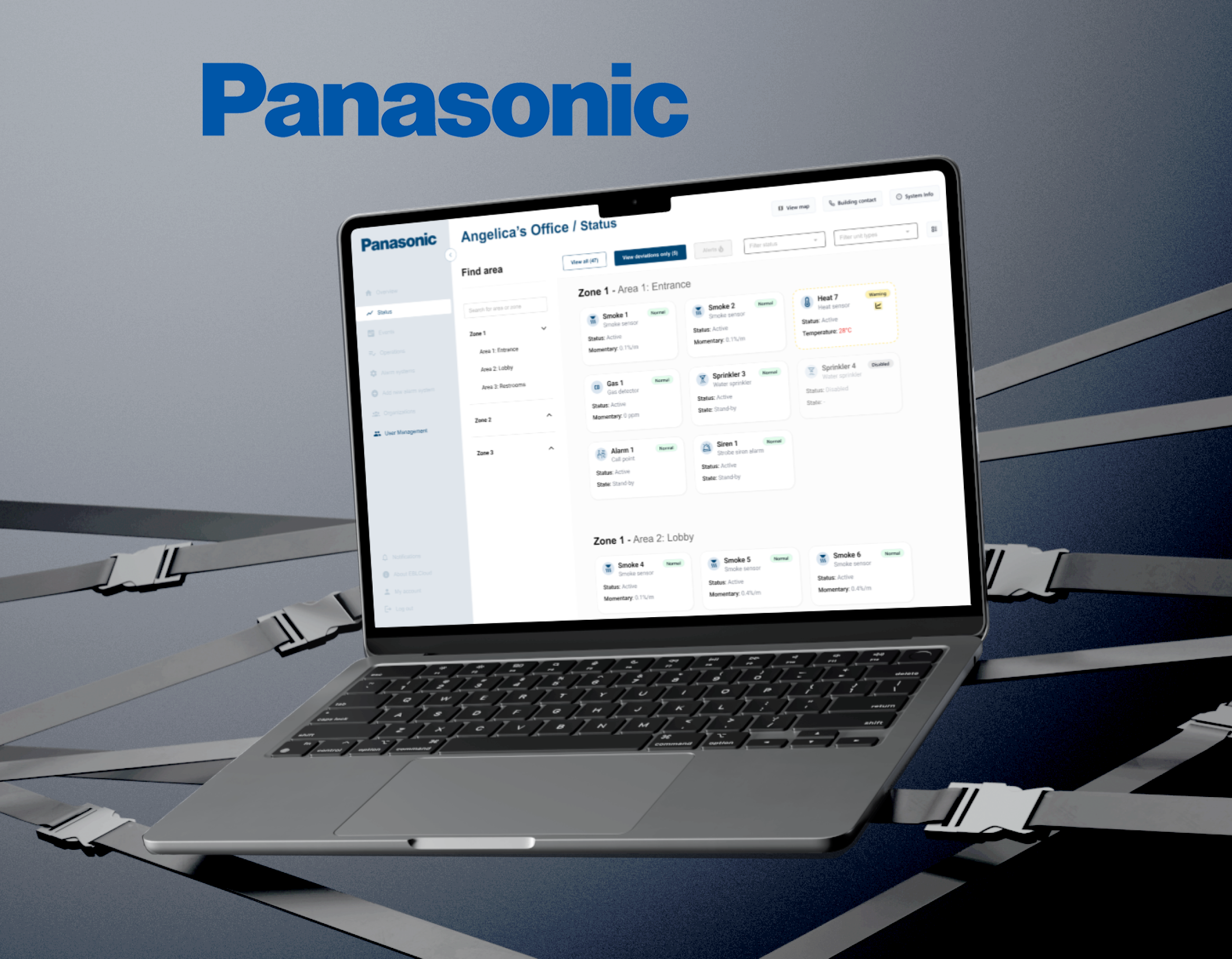 Preview of Panasonic case